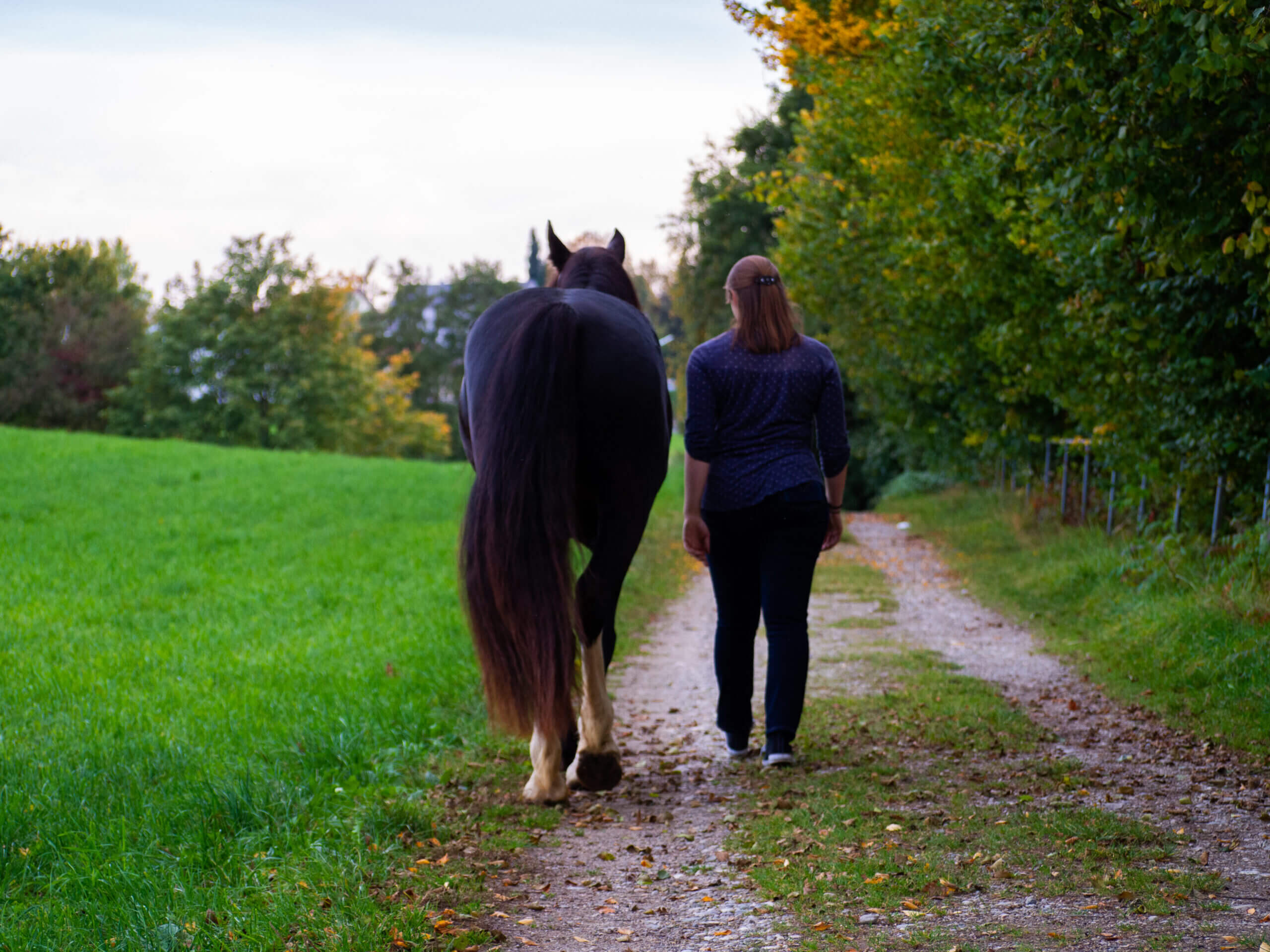Frau und Pferd beim Spazieren
